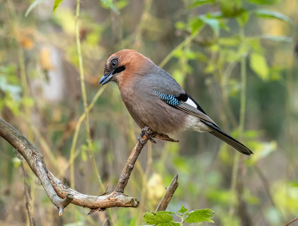 Photograph by Александр Подмарёв