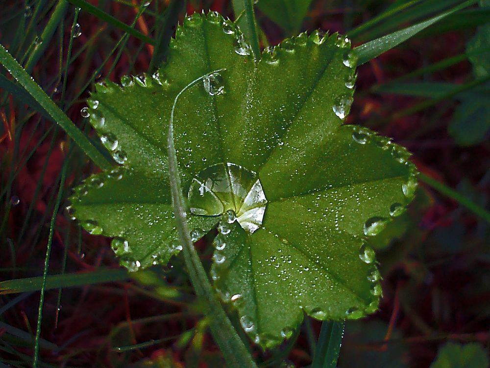 Photograph by Андрей