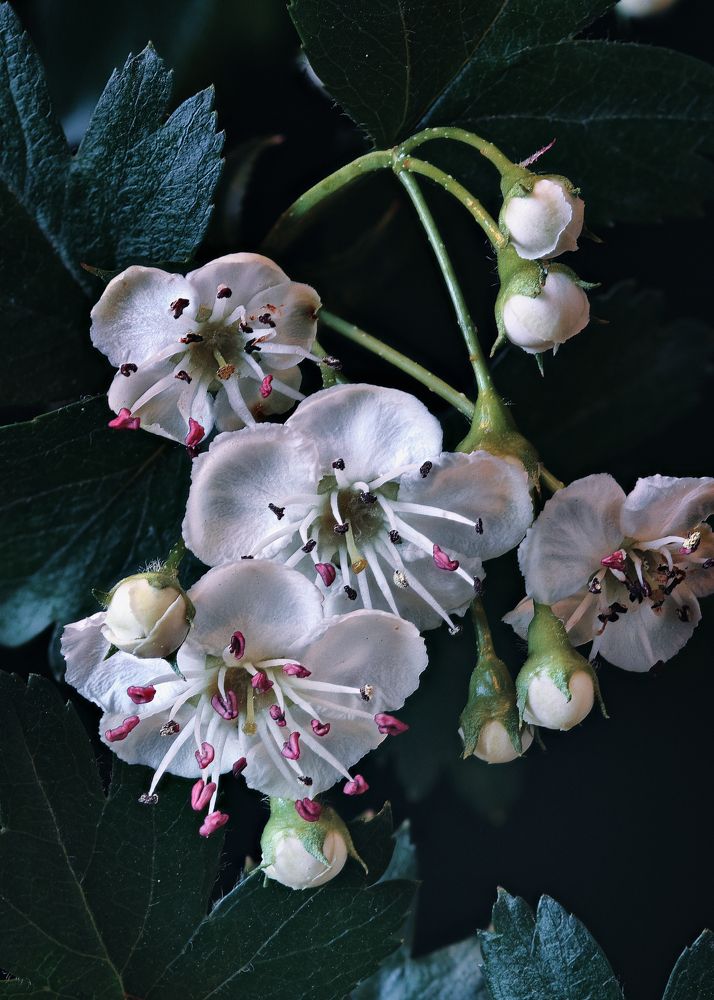 Photograph by Владимир Кваша