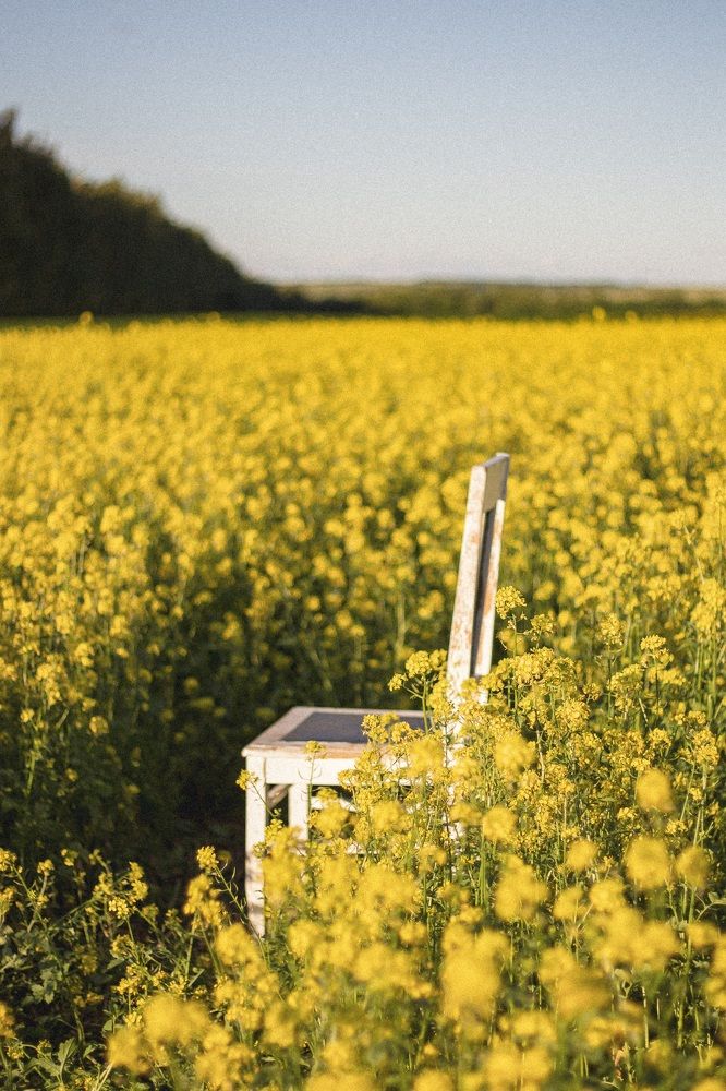 Photograph by Елена Квасова