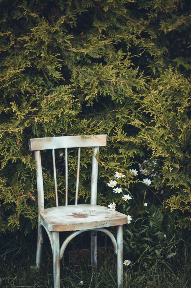 Photograph by Елена Квасова