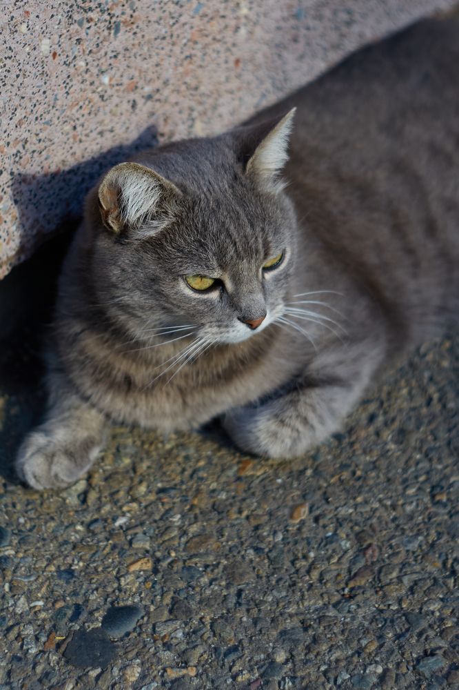 Photograph by Николай Ткач