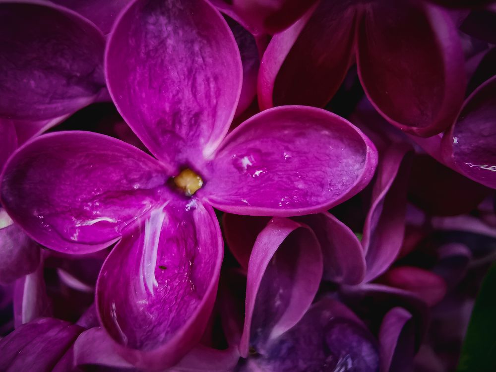 Photograph by Колоскова Мария