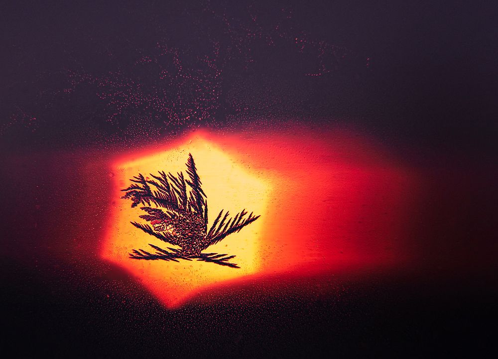 Photograph by Евгений Гонтов