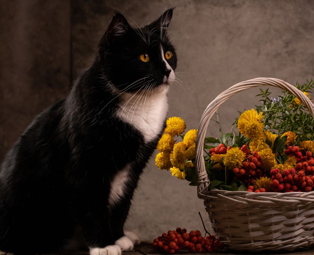 Photograph by Marina Dukhina