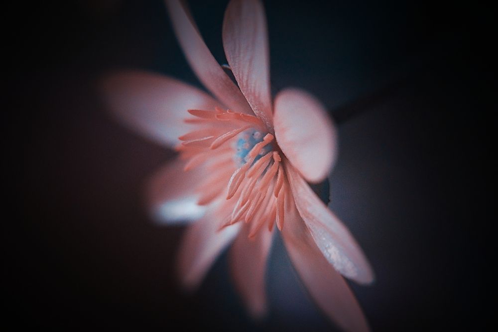 Photograph by Колоскова Мария