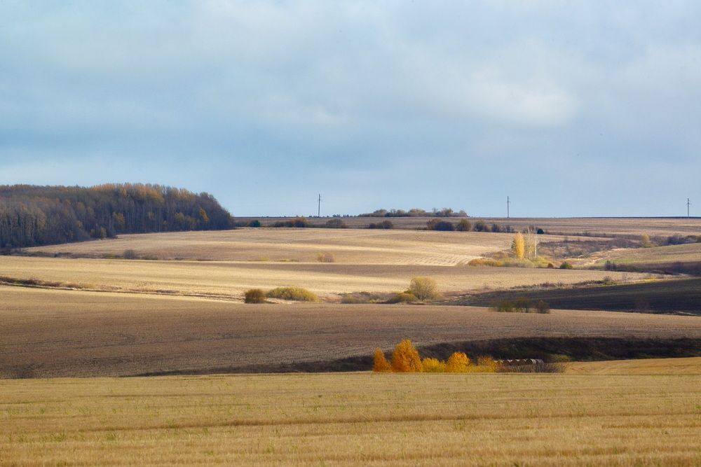 Photograph by Oleg M Kulishov