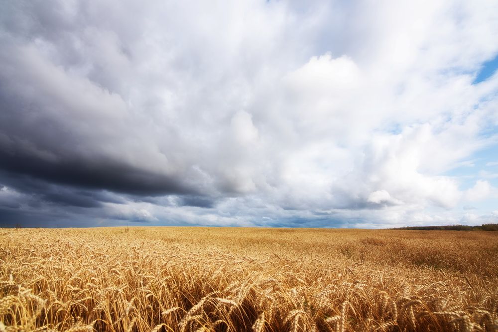 Photograph by Oleg M Kulishov