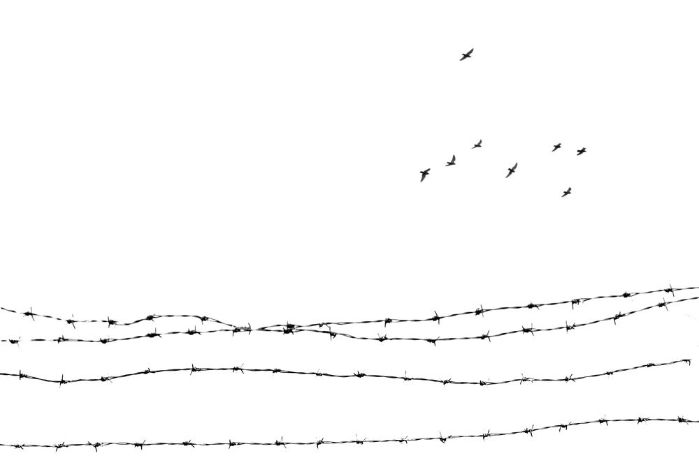 Photograph by Nazanin Davari