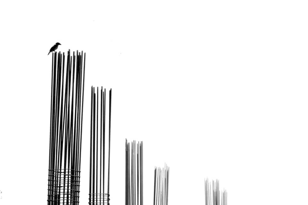 Photograph by Nazanin Davari