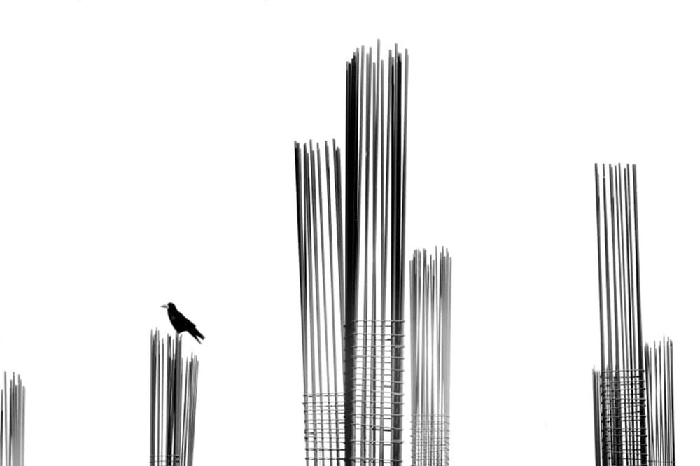 Photograph by Nazanin Davari