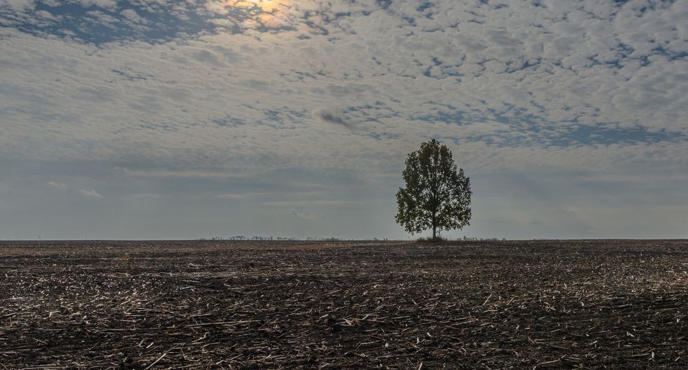 Photograph by Алексей Кузьмин