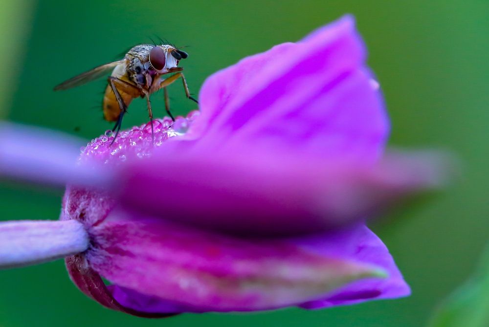 Photograph by Farrukh Sidddiqi