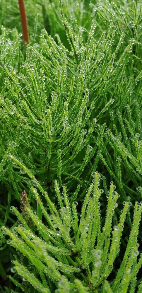 Photograph by Elena Goncharova