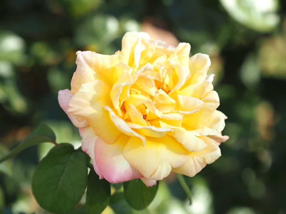 Photograph by Сергей Борисов