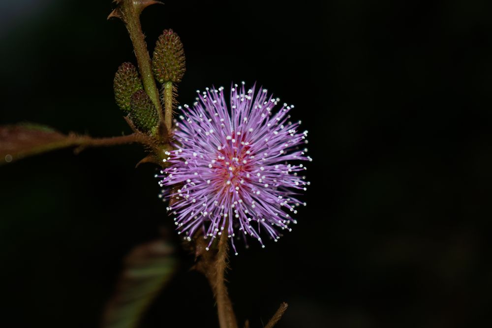 Photograph by Aritra Mukherjee
