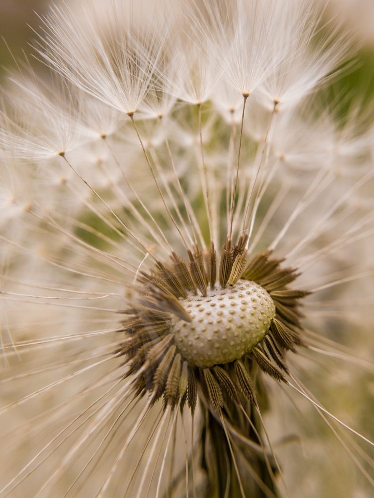 Photograph by Ильсур Абдуллин