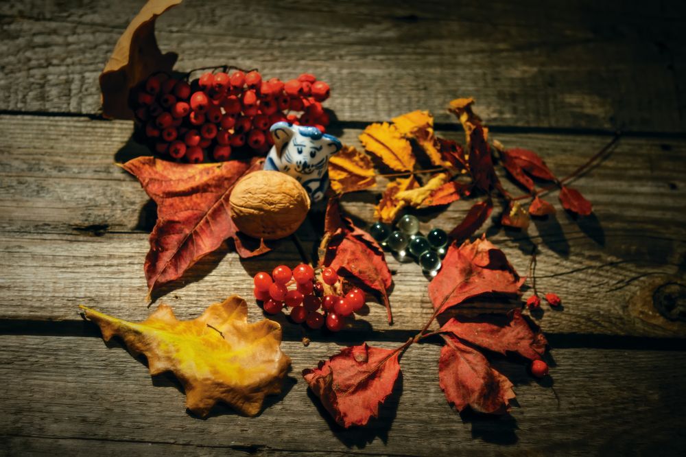 Photograph by Сергей Немчинов