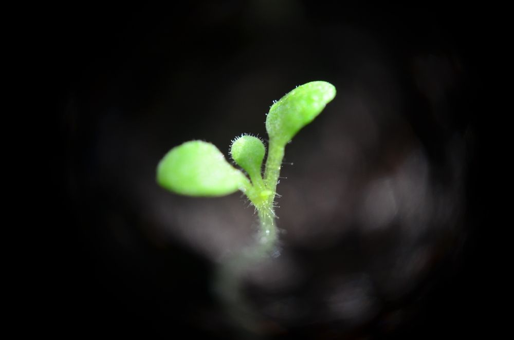 Photograph by Аряева Анна