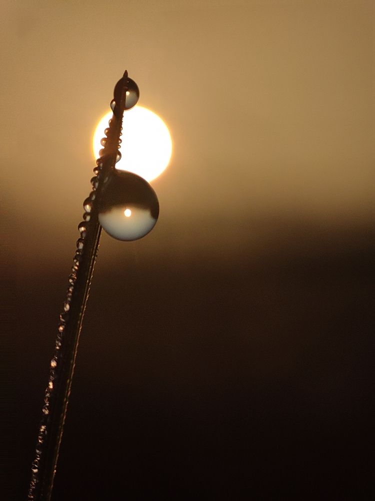 Photograph by George S George