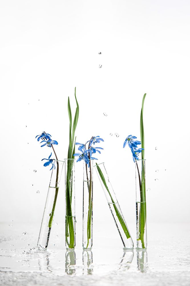 Photograph by Маргарита Кузьмина