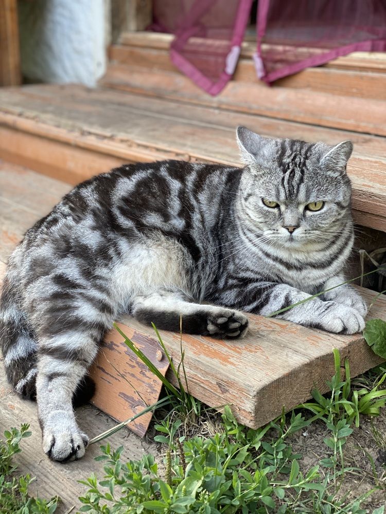 Photograph by Ольга Галкина