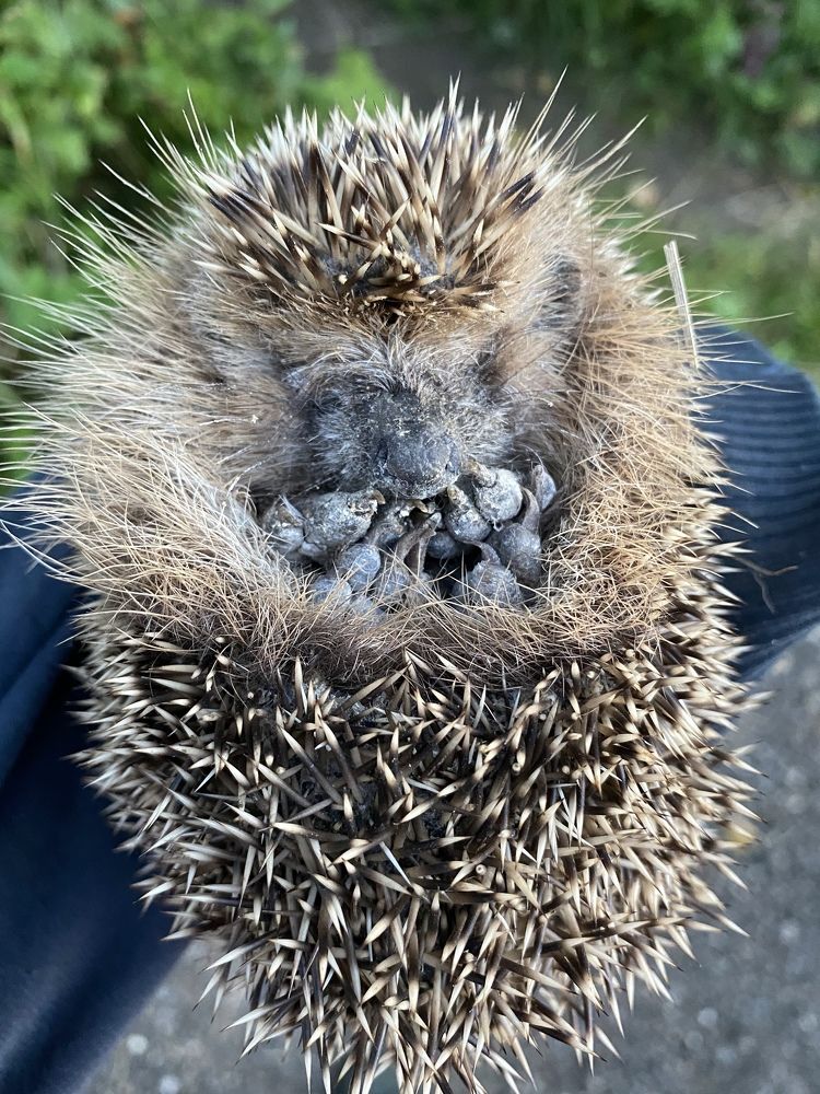 Photograph by Ольга Галкина