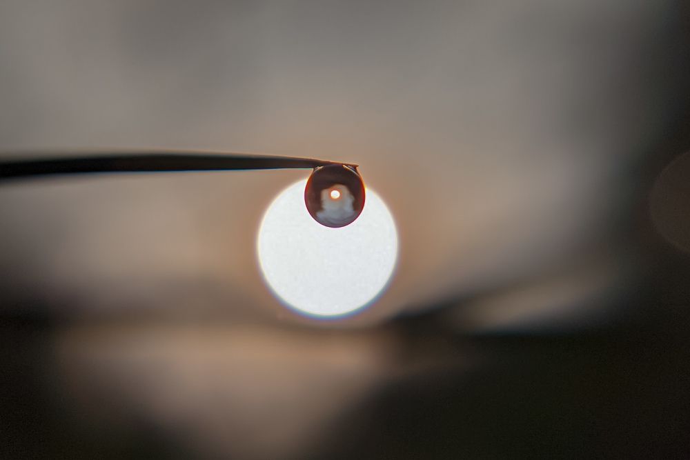 Photograph by Vijayakumar