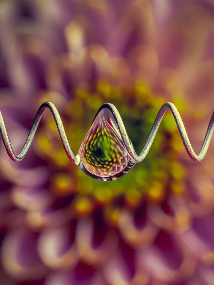 Photograph by Игорь Толкачев