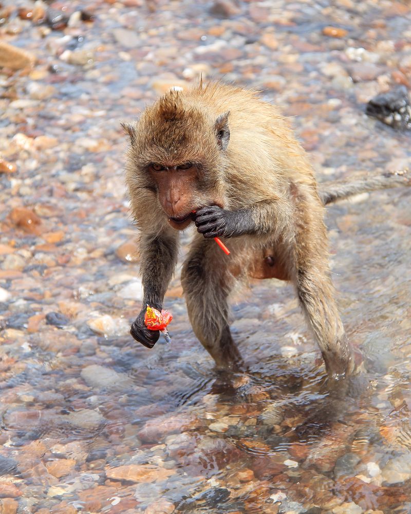 Photograph by Ильдар Гарифуллин