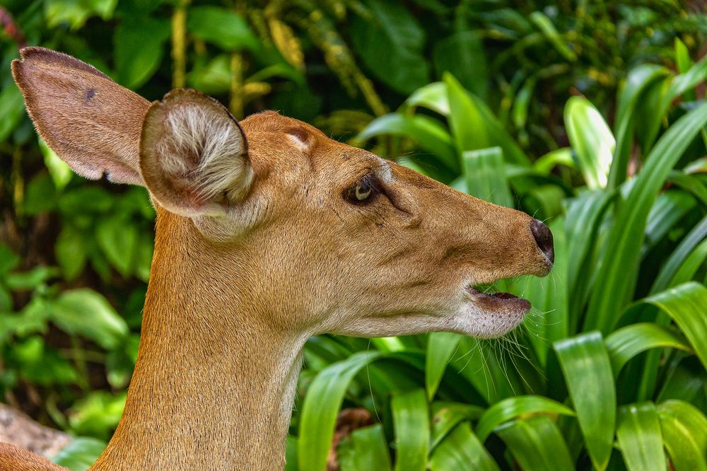 Photograph by Ильдар Гарифуллин