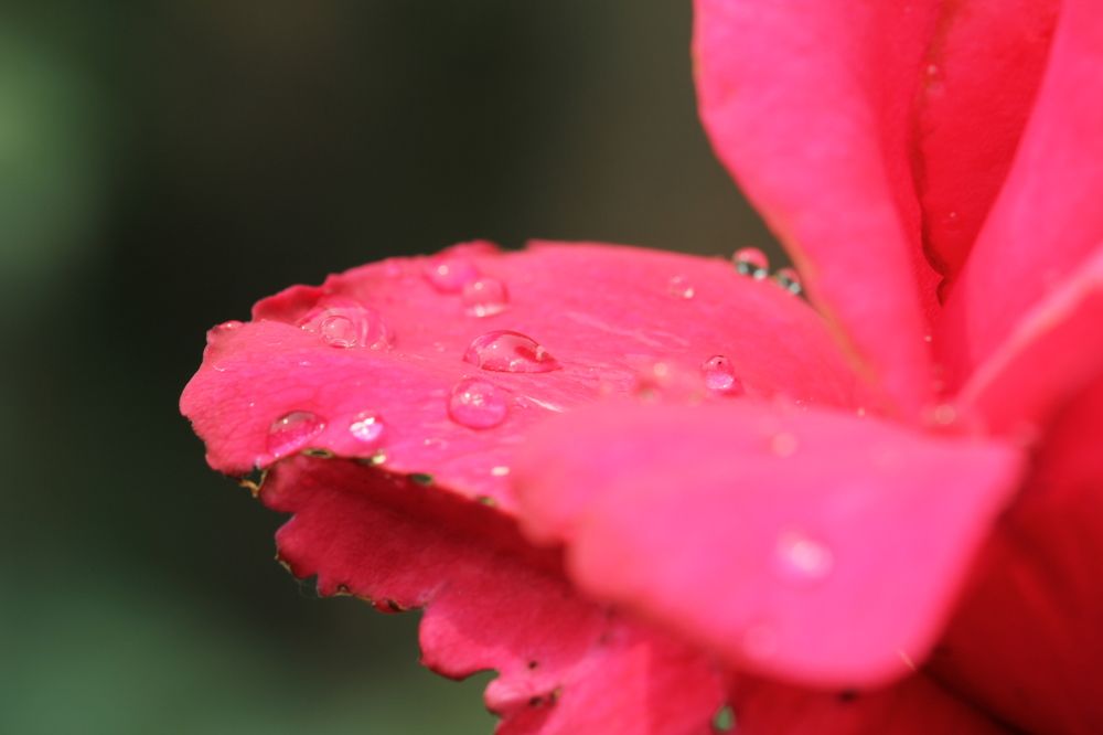 Photograph by Anton Shumanskiy