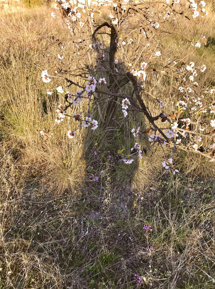 Photograph by Cristóbal Carretero Cassinello