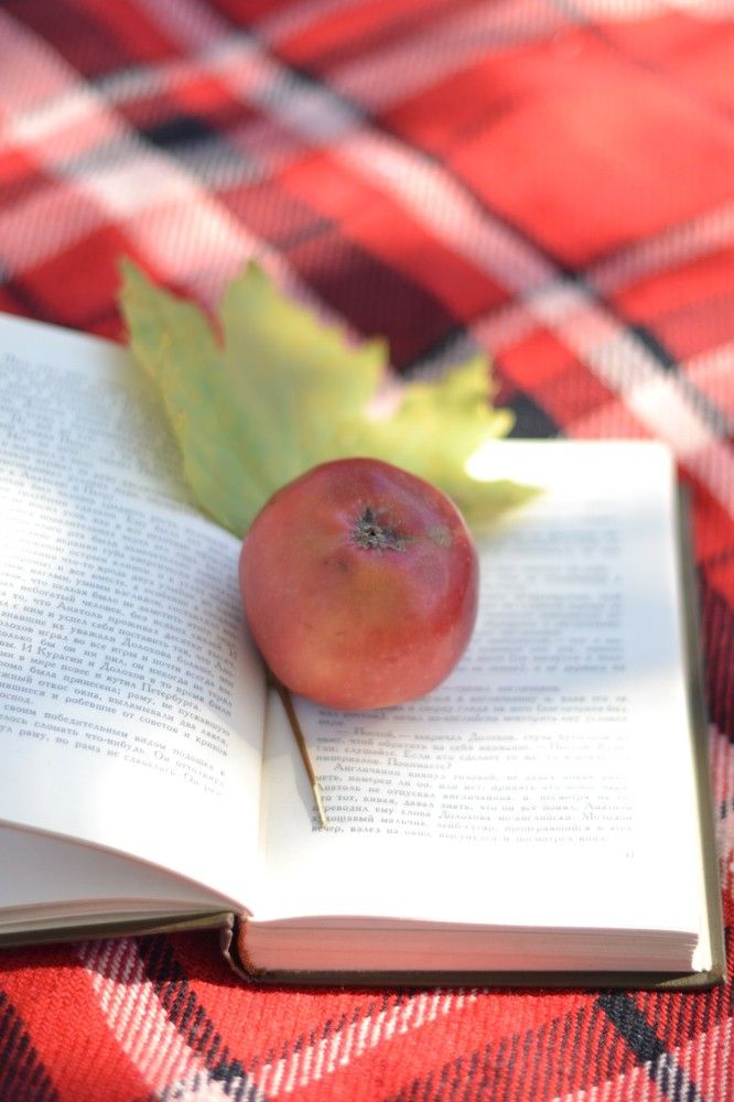 Photograph by Виорика Фоменко