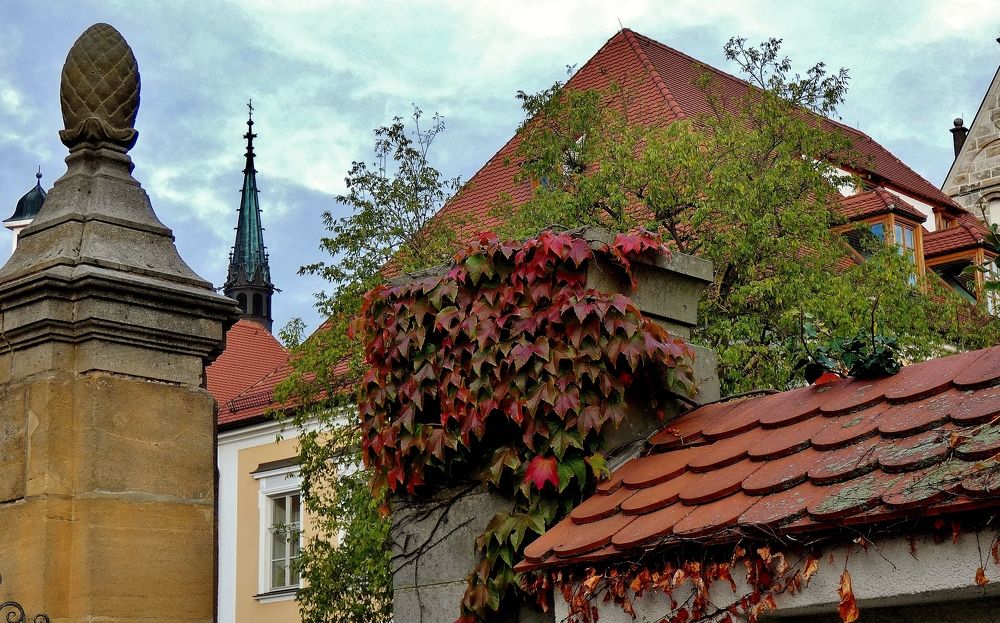 Photograph by backareva irina