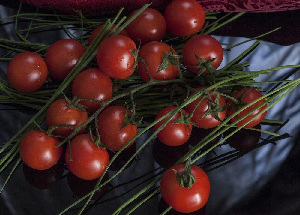 Photograph by Алла Шапочник