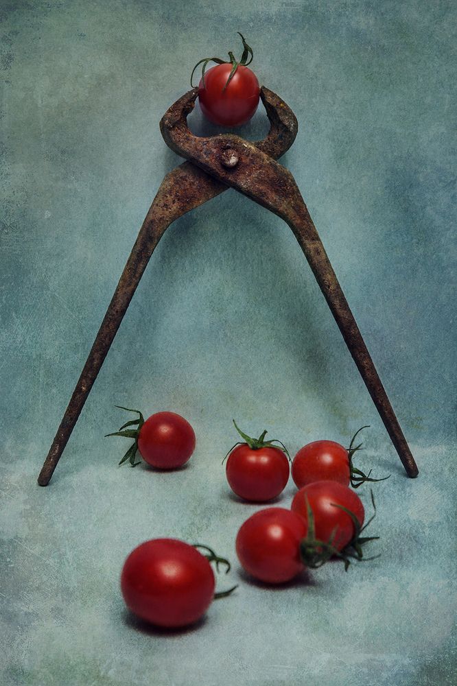 Photograph by Dasha Art