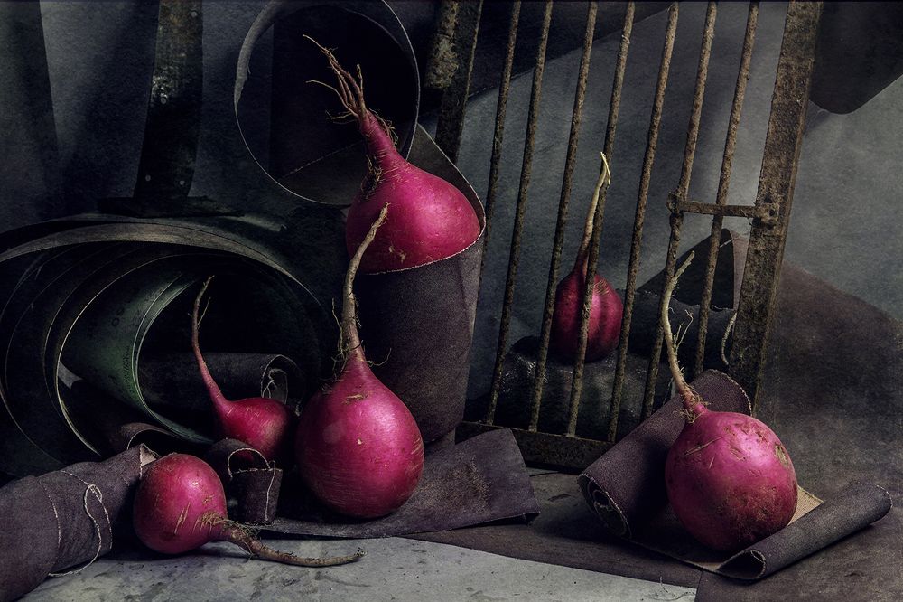 Photograph by Dasha Art