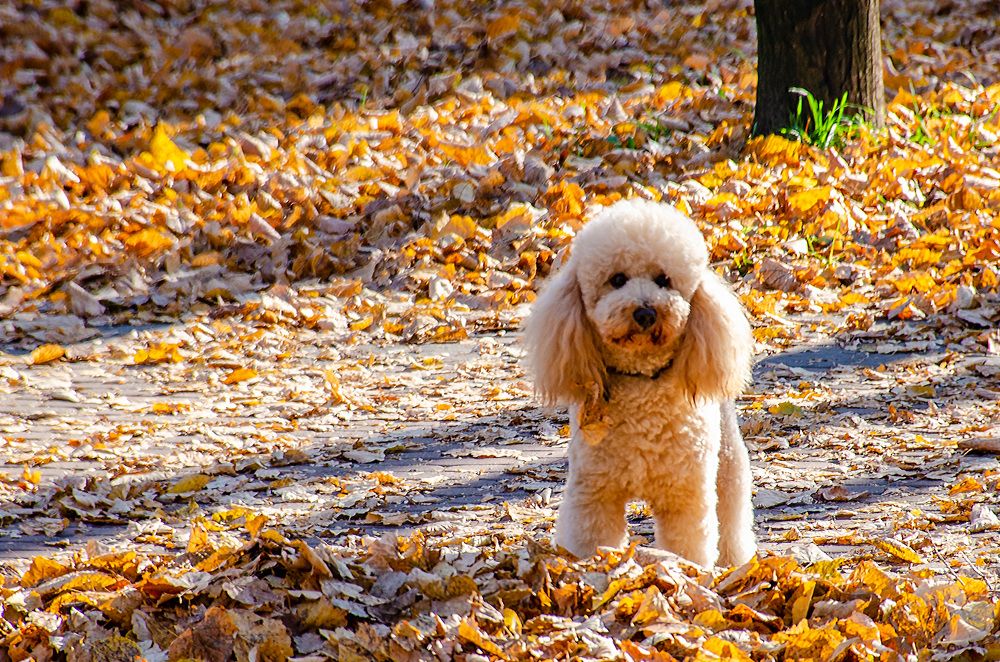 Photograph by Михаил Гурин