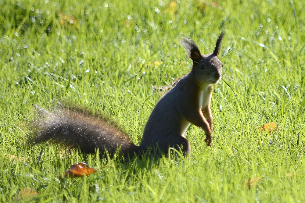 Photograph by Михаил Гурин