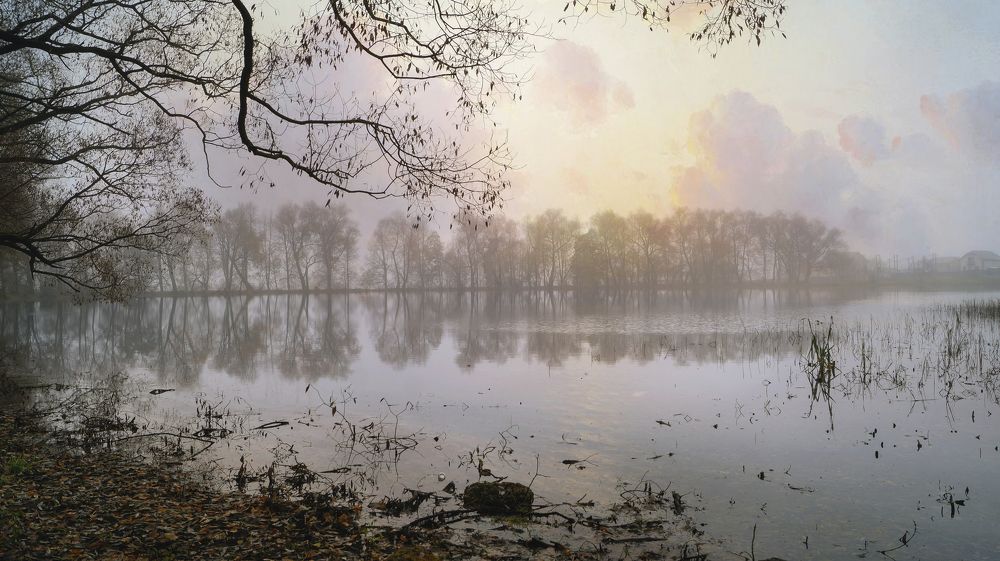 Photograph by Сушкевич Светлана