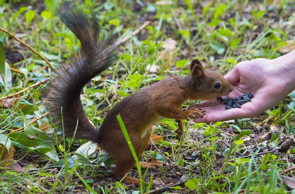 Photograph by Михаил Гурин