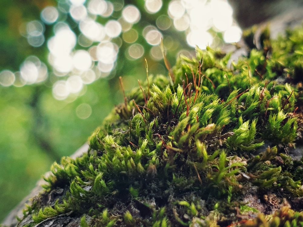 Photograph by Владимир