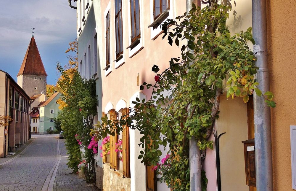 Photograph by backareva irina