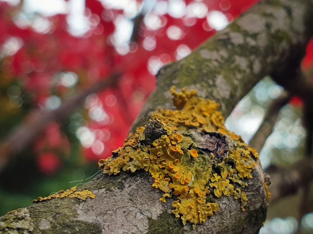 Photograph by Владимир