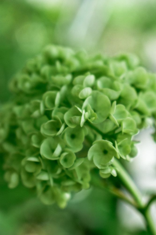 Photograph by Ольга Топорищева