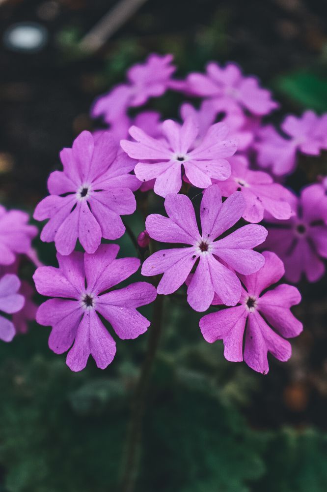 Photograph by Ольга Топорищева