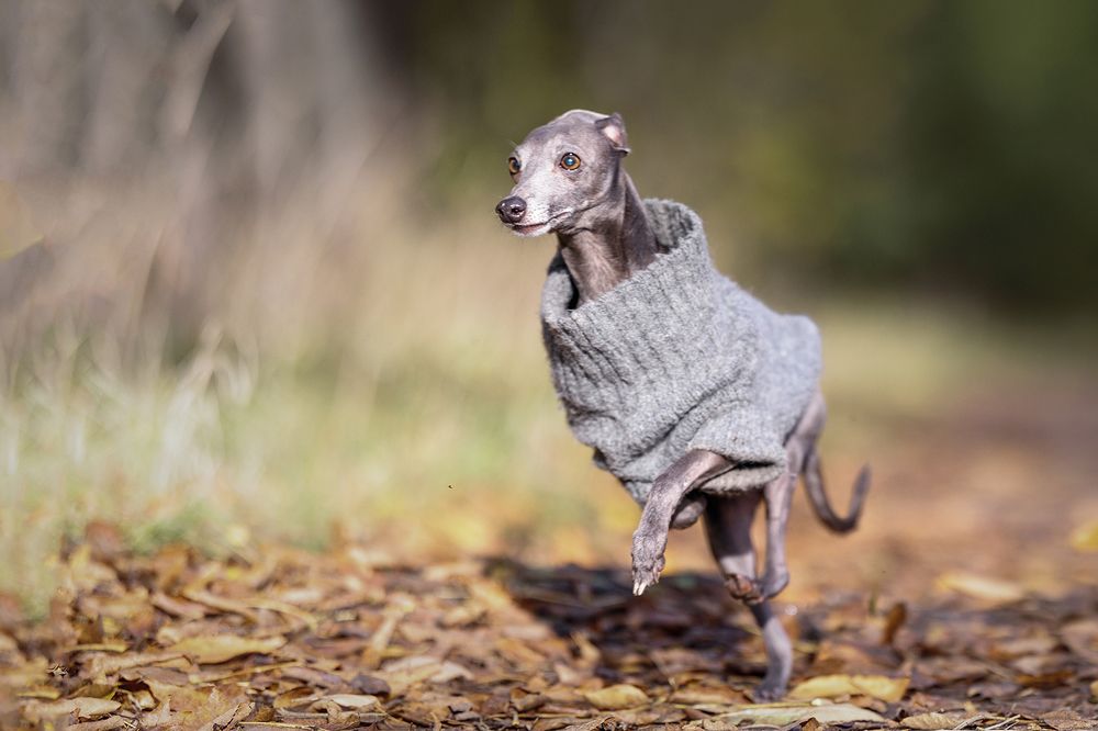 Photograph by Шитиков Владимир