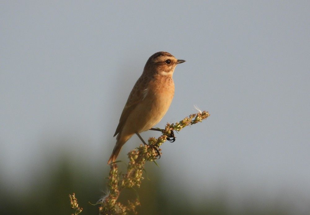 Photograph by Владимир Джерихов