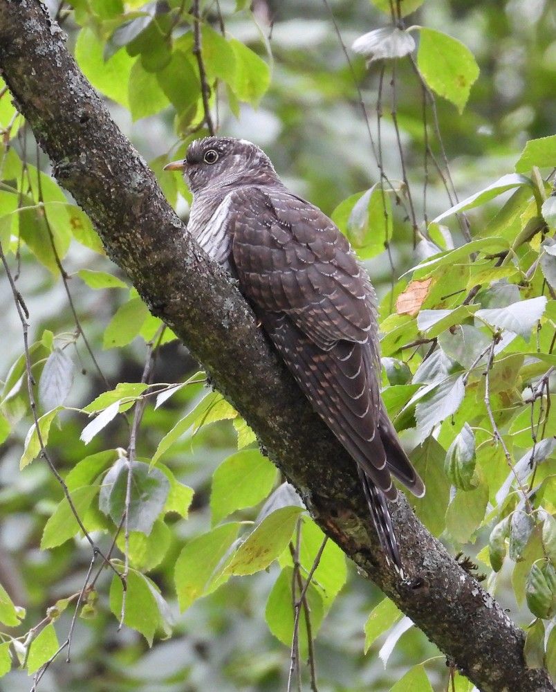 Photograph by Владимир Джерихов